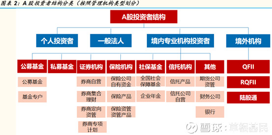 草根基民的困境与出路 A股个人投资者如何在结构性失衡中求生存